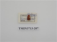 藏品(金龜子科)的圖片